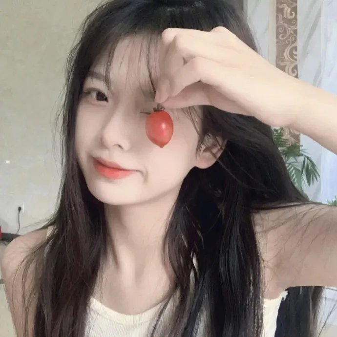双面骗子虚假警察第一季